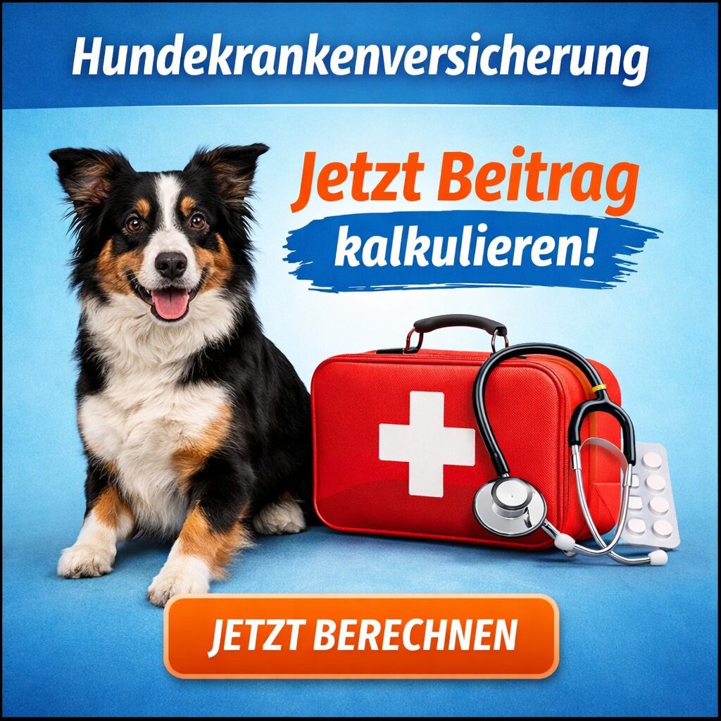 Banner Hundekrankenversicherung Banner Hundekrankenversicherung