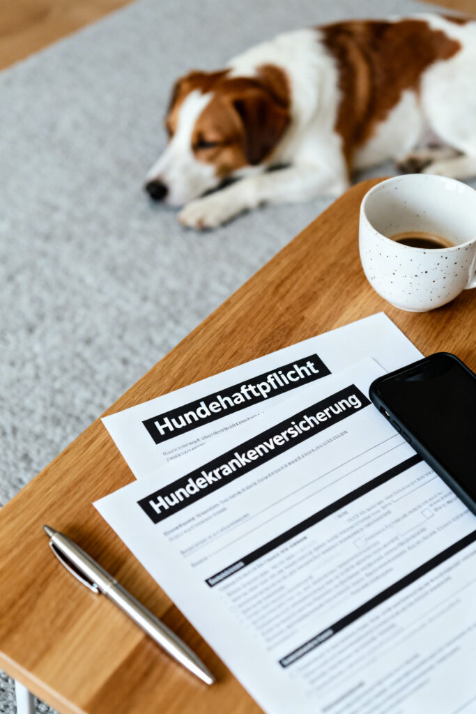 Hund schlafend auf dem Boden